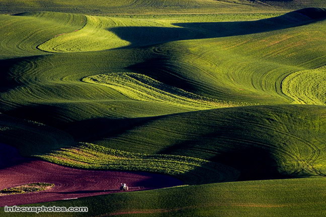 Infocusphotos : Palouse - stock photo