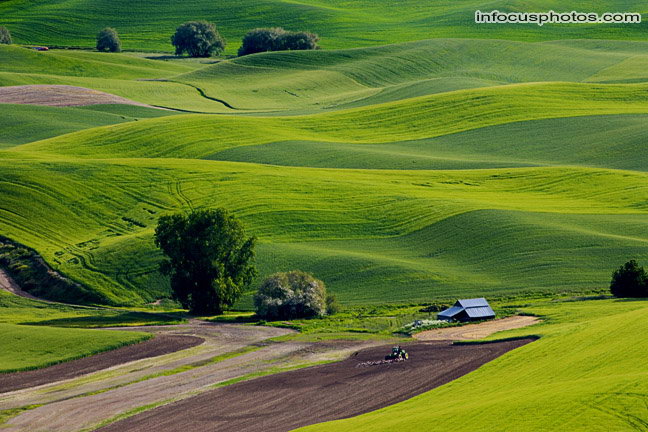 Infocusphotos : Palouse - stock photo